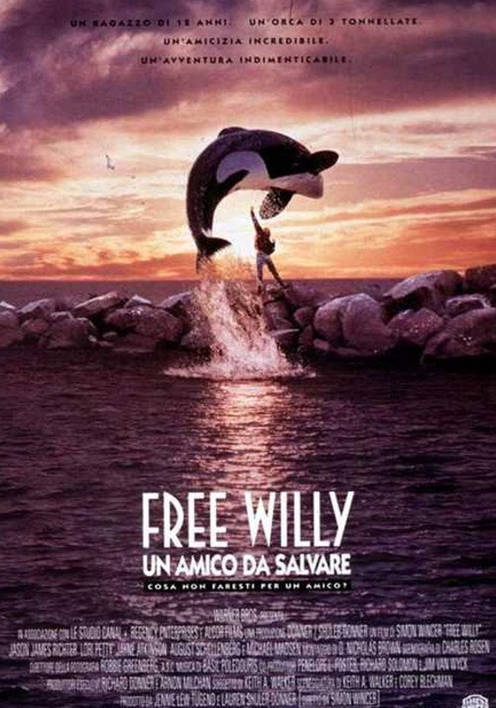 Free Willy Un amico da salvare